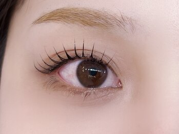 デジール/韓国マツパ