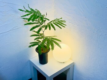 天空の手もみ/ギリシャ風な空間♪