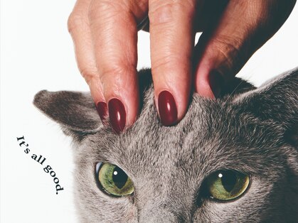 ウカ(ukacojp/store)の写真