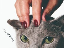 ウカ(ukacojp/store)