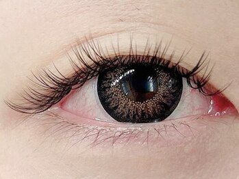 ルチア(Lucia)/バインドロック100束