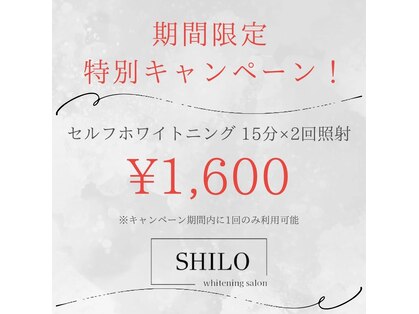 シロ(SHILO)の写真