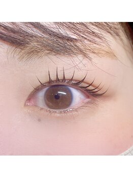 シルフ ブリエ(sylph Briller)/しっかり可愛いラッシュリフト♪