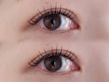 ビビー(Bibii)/【マツエク】フラットラッシュ