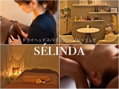 セリンダ(selinda)の写真