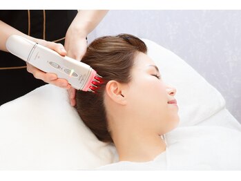 ステラグランデ(Stella grande)/Drヘッドケア