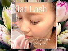 アイラッシュサロン セリナ 新宿南口店/フラットラッシュ