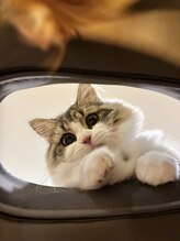 晴々&nbsp;店長 ミモザ