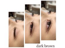 レカロ 熊本本店(RECARO)/ダークブラウン140本