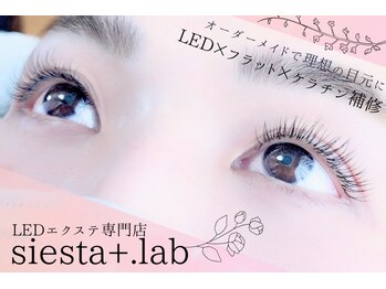 シエスタプラスラボ(Siesta+lab)