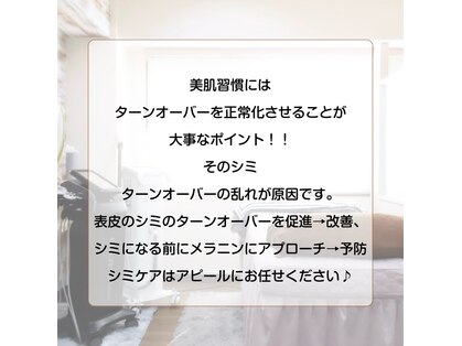 アピール(Appeal)の写真