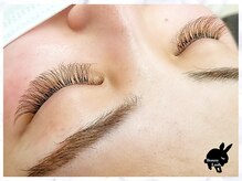 バニーラッシュ(Bunny Lash)/【ブラウンボリュームラッシュ】