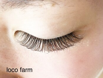 ロコ ファーム(loco farm)/ボリュームラッシュ140束