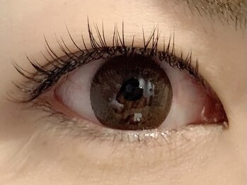 カラン 焼津店(CALIN)/フラットラッシュ140本