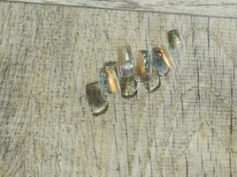 5月select(J)5,980円/全10種