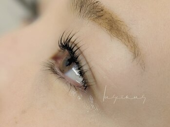 マックスラッシュ(MAX LASH)/パリジェンヌラッシュリフト