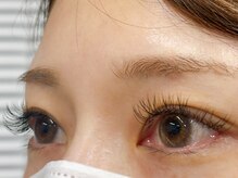 ラッシュテイラー(Lash Tailor)