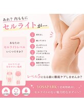 ヨサパーク ヴィラ デ ミューズ(yosa park villa des Muses)/にっくきセルライト！