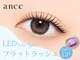 アンセ 大宮店(ance)の写真