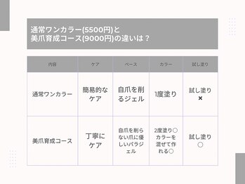 究極のワンカラー専門店
