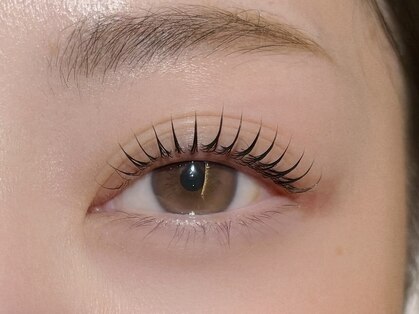 ポルテニーロクキュー ブレス(LASH&BROW PORTE269×brace)の写真