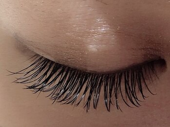 カラン 焼津店(CALIN)/フラットラッシュ140本