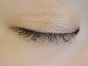 ディシェーレノーテ アイラッシュ(die Schere Note EyeLash)/セーブル60本