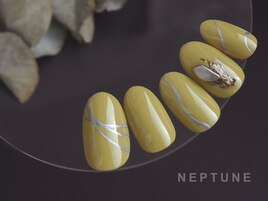 No. 1 定額6980円コース　Y