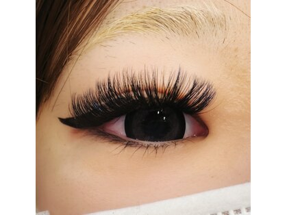 ノーファンデの樹 健康の丘の写真