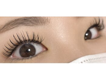 ダリア(Dahlia)/バインドロック８０束★