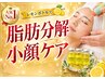 【人気No.1/小顔.二重あご】脂肪分解レモンボトル2ccプラズマ導入1h