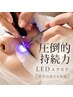 ☆平日限定☆オフ無料☆LEDフラットラッシュ120本￥12,650→￥11,550