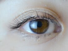 ディシェーレノーテ アイラッシュ(die Schere Note EyeLash)/セーブル80本