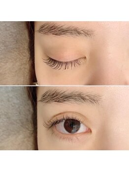 リコル(Ricol)/ブラウンフラットラッシュ120本