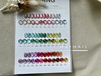 エヌエープラスネイル 新小岩店(Na+nail)/【カラーサンプル】マグネット
