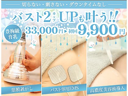 美人バスト 岡崎店の写真