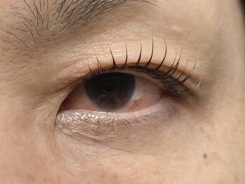 ウルカ アイラッシュ(uruka EYELASH)/ラッシュリフト