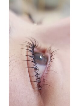 コア(Koa)/どの角度からも美