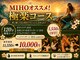 マーメイド(Mermaid)の写真
