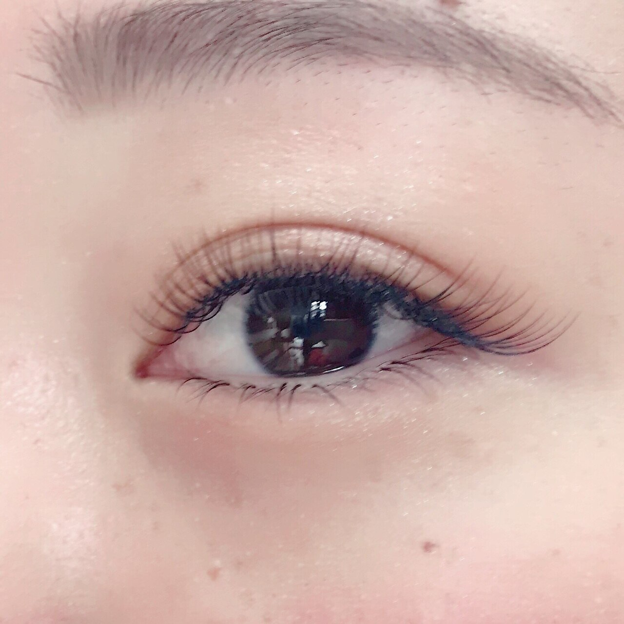 【1ヶ月以内の方】リペアのみ☆フラットラッシュ両目50本まで ￥4980⇒￥3980