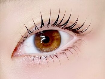 セレブヒルズ 三宮店(Celeb Hill's)の写真/韓国アイドル束感まつ毛パーマが人気No1◎何度でも【スマート支払い¥2650/上下¥3990】