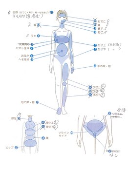 シンデレラアート/脱毛部位詳細