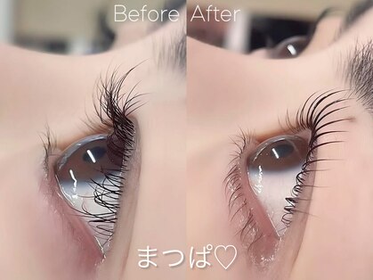 マイロ(Myro)の写真