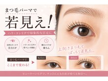 エメヘアデザインルイス(Aimer Hair Design Lewis)/若見えまつ毛パーマ！