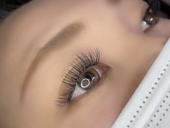 フリー#240(Free#240)/フラットラッシュ◇160本