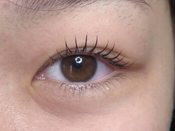 ウルカ アイラッシュ(uruka EYELASH)/ラッシュリフト