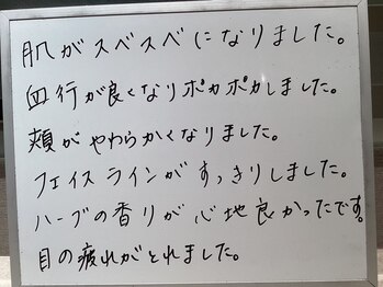 シェイプ 静岡本店/