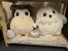 シュエット 池袋店/心癒す大きめのふくろうたち