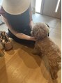 ハニー(Honey) お客様になでなでしてもらえて嬉しいね♪