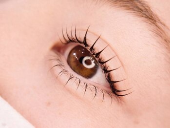 ジョイア 池袋(Gioia)の写真/上下まつげパーマ60分☆早くて確かな技術力で仕上がり満足度◎リピートしたくなる魅力がたくさん♪